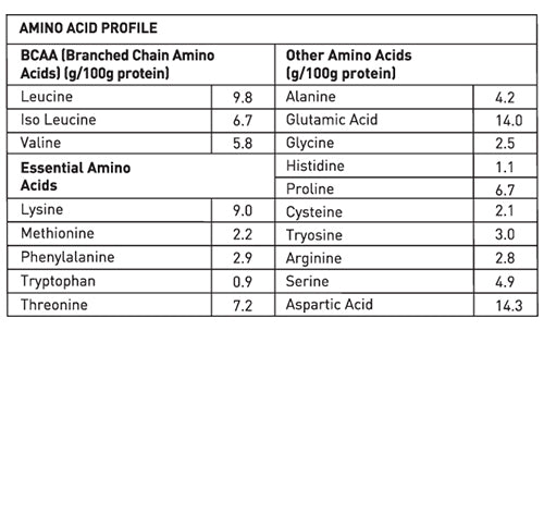 Avvatar Whey Protein