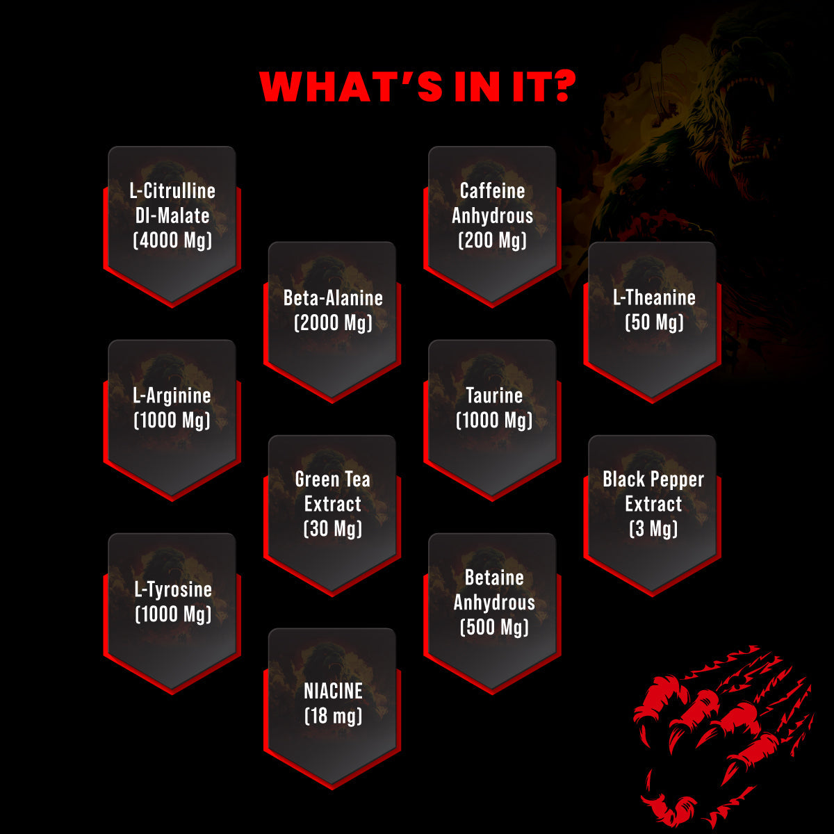 Big Muscle Karnage Pre Workout 300gm