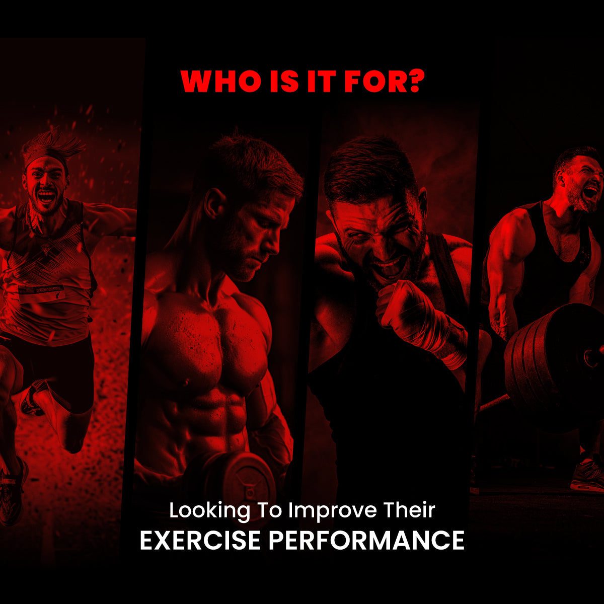 Big Muscle Karnage Pre Workout 300gm